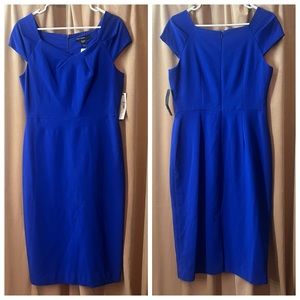 Cobalt Blue Maggy London Sheath Dress